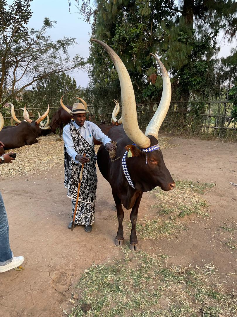 One Day King’s Palace & Ethnographic Museum Tour with Coffee Tasting, Rwanda