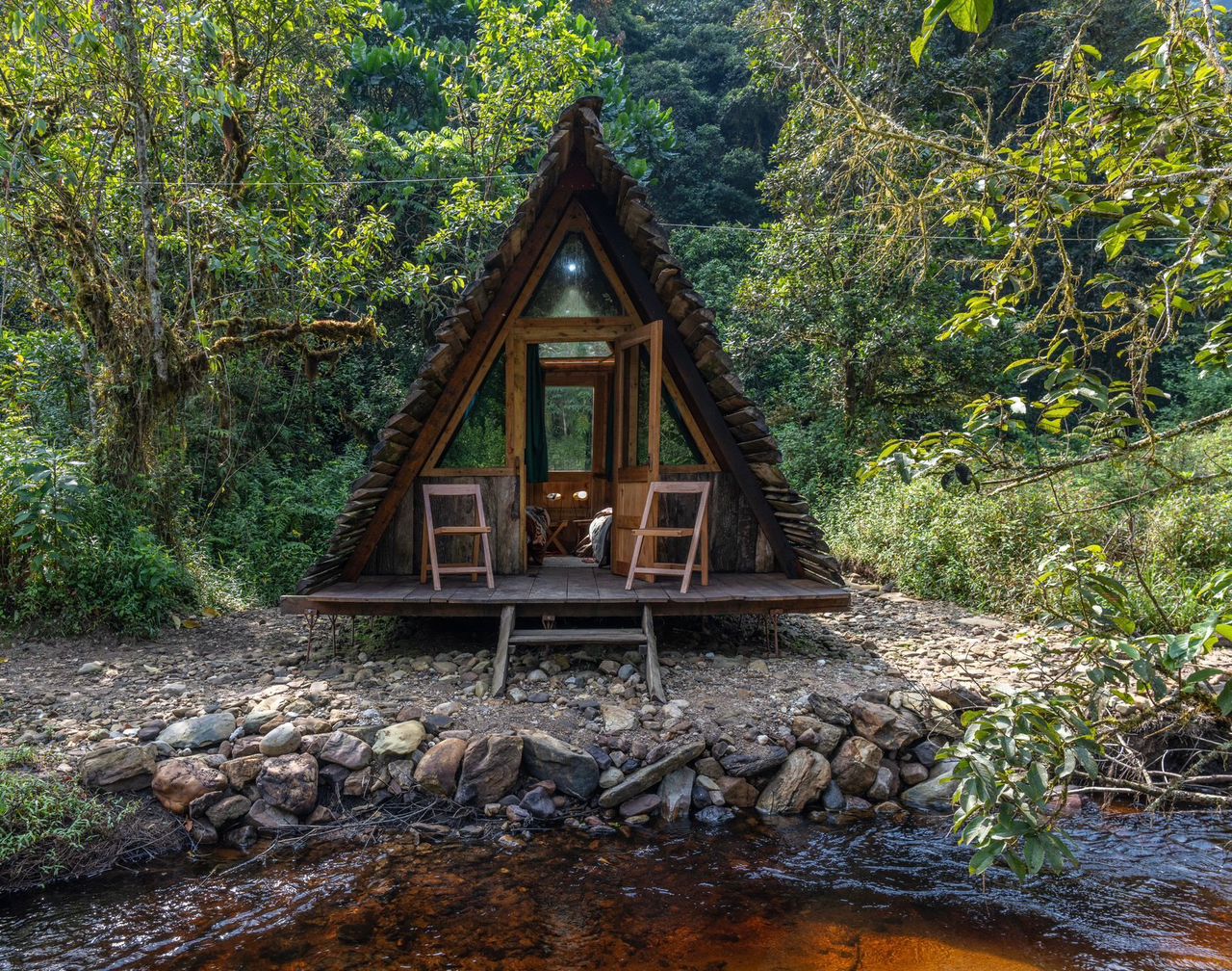 3 Days Cyinzobe Trail Hike in Nyungwe National Park, Rwanda