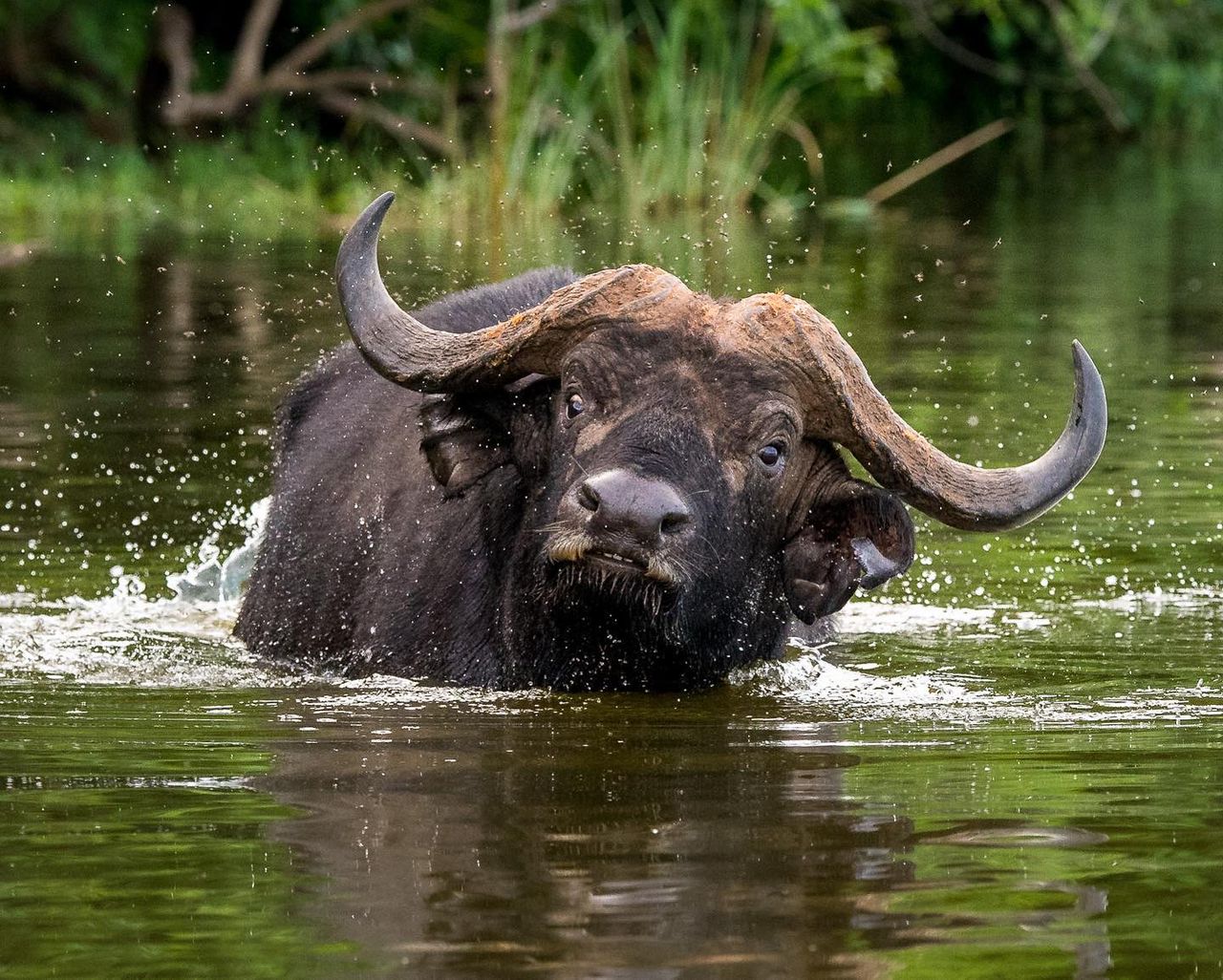 1 Day Lake Mburo Tour from Kampala