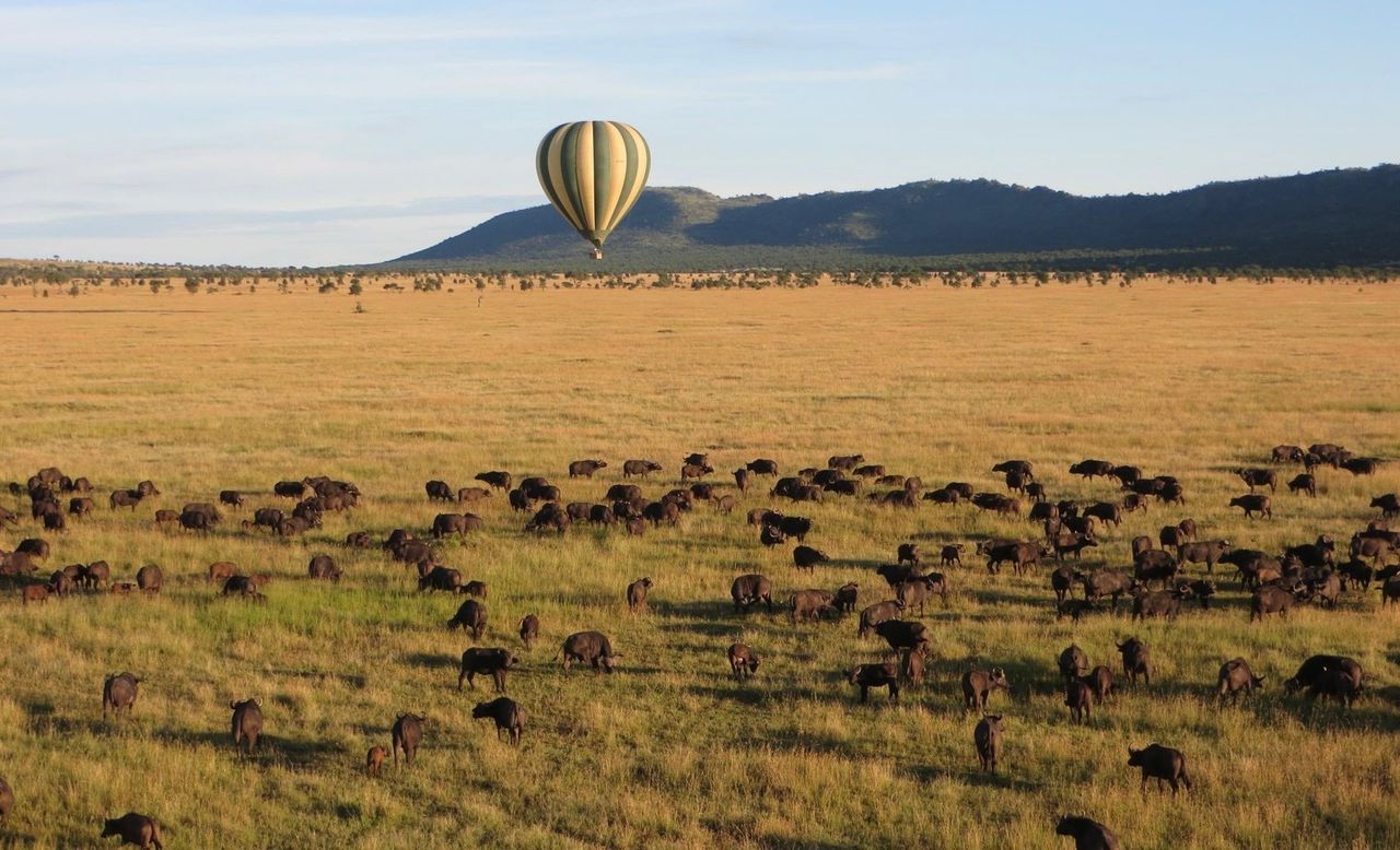 3 Days Serengeti National Park Safari
