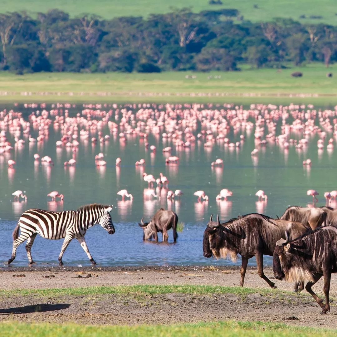 5 Days Serengeti National Park and Ngorongoro Crater